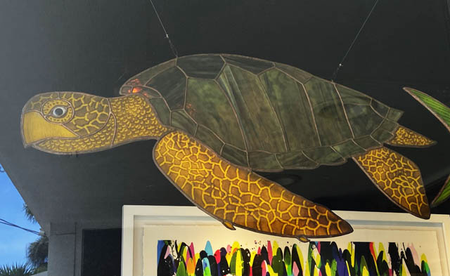 Turtle - David Oppenheimer Ocean Blue Galleries