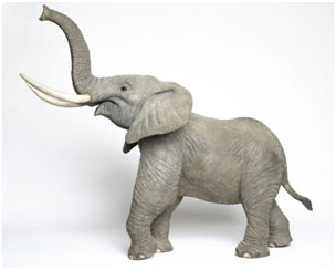 Animal Bronze Sculptures by Wyland