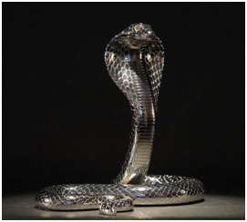 King Cobra no crystals by Clarity Brinkerhoff at Ocean Blue Galleries